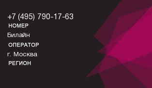 4957901763